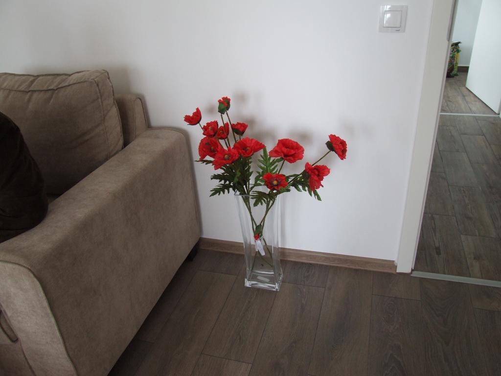 Anca Apartment Brassó Kültér fotó